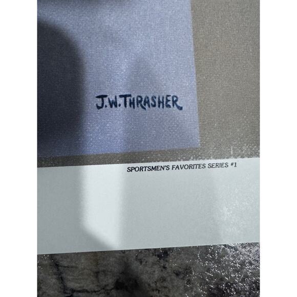 Vintage Set of J.W. Thrasher Mourning Dove &  Bob White Quail Matted Art Prints - Picture 8 of 9